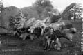 The Lawrence Photograph Collection