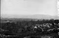 The Lawrence Photograph Collection