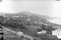 The Lawrence Photograph Collection