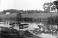 The Lawrence Photograph Collection