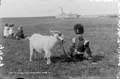 The Lawrence Photograph Collection