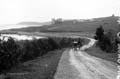 The Lawrence Photograph Collection