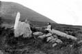 The Lawrence Photograph Collection