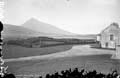 The Lawrence Photograph Collection