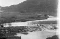 The Lawrence Photograph Collection