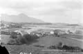 The Lawrence Photograph Collection