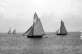 The Lawrence Photograph Collection