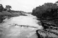 The Lawrence Photograph Collection