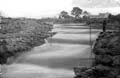 The Lawrence Photograph Collection