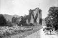 The Lawrence Photograph Collection