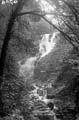 The Lawrence Photograph Collection