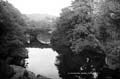 The Lawrence Photograph Collection