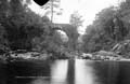 The Lawrence Photograph Collection