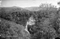 The Lawrence Photograph Collection