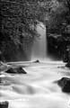 The Lawrence Photograph Collection