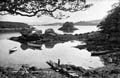 The Lawrence Photograph Collection
