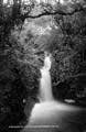 The Lawrence Photograph Collection
