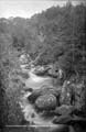 The Lawrence Photograph Collection