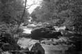 The Lawrence Photograph Collection