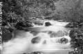 The Lawrence Photograph Collection