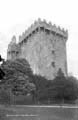 The Lawrence Photograph Collection