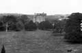 The Lawrence Photograph Collection