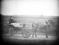 The Poole Photographic Collection