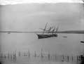 The Poole Photographic Collection