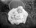 The Poole Photographic Collection