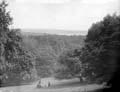 The Poole Photographic Collection