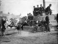 The Poole Photographic Collection