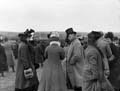 The Poole Photographic Collection