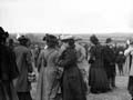 The Poole Photographic Collection