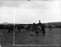 The Poole Photographic Collection