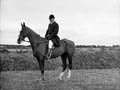 The Poole Photographic Collection