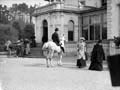 The Poole Photographic Collection