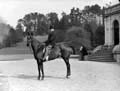 The Poole Photographic Collection