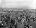 The Poole Photographic Collection