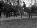 The Poole Photographic Collection