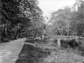 The Poole Photographic Collection