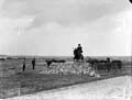 The Poole Photographic Collection
