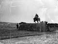 The Poole Photographic Collection