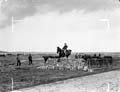 The Poole Photographic Collection
