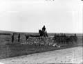The Poole Photographic Collection