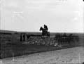 The Poole Photographic Collection