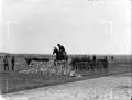 The Poole Photographic Collection