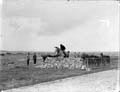 The Poole Photographic Collection