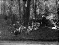The Poole Photographic Collection