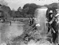 The Poole Photographic Collection