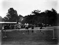 The Poole Photographic Collection